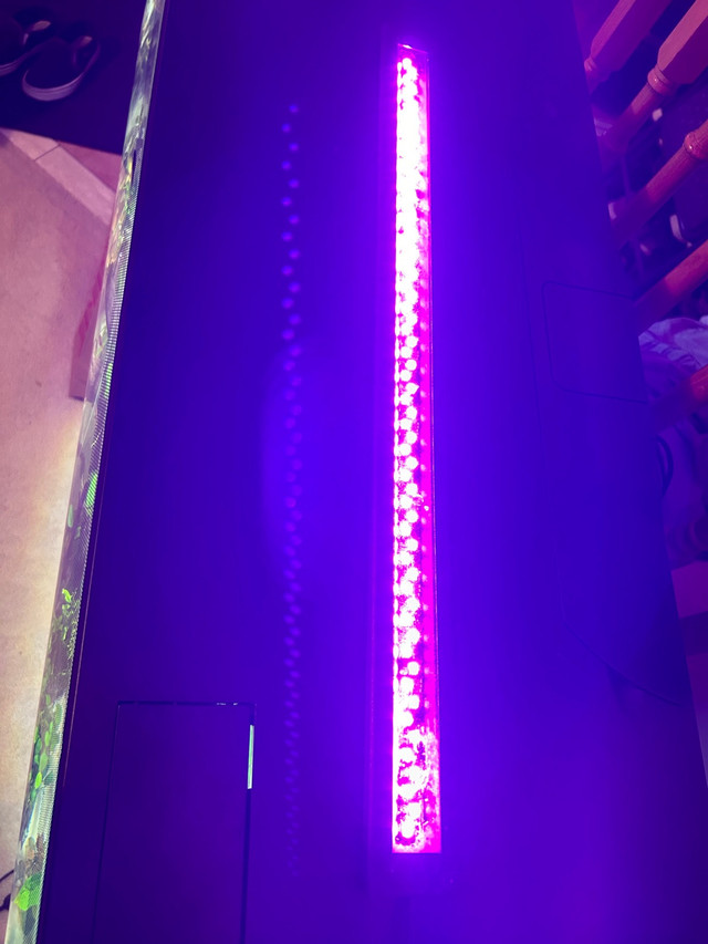 Aquarium Light in Fish for Rehoming in Barrie - Image 3