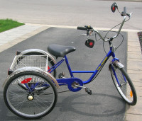 Tri-Rider Tricycle 24"