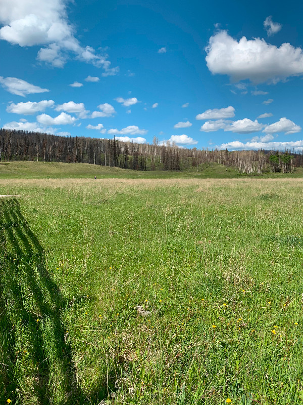 160 ACRES FOR SALE KAMLOOPS! Land for Sale Kamloops Kijiji