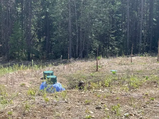 10 Acres Build-Ready Land in Land for Sale in Nelson - Image 3