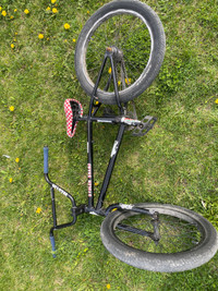 Stolen brand BMX bike 