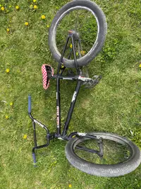 Stolen brand BMX bike 