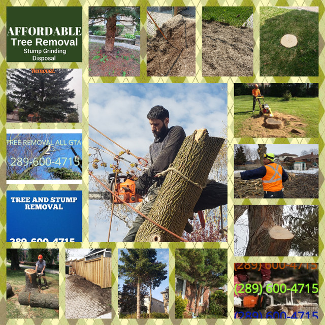 289-600-4715. TREE REMOVAL AND STUMP REMOVAL, BEST PRICE. in Lawn, Tree Maintenance & Eavestrough in Oshawa / Durham Region