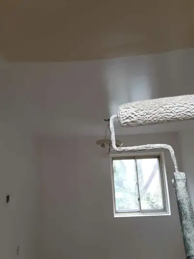 pro painter available now , View more