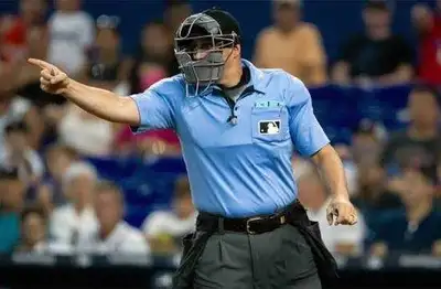 Senior Amateur Baseball Umpires, View more