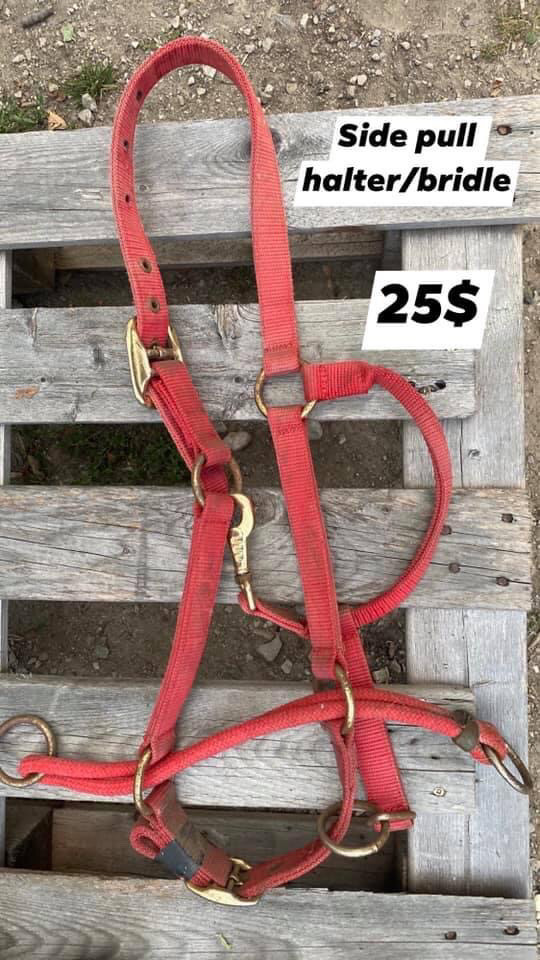 Side pull halter/bridle  in Equestrian & Livestock Accessories in Leamington