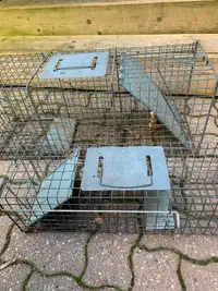 Live trap one large one small