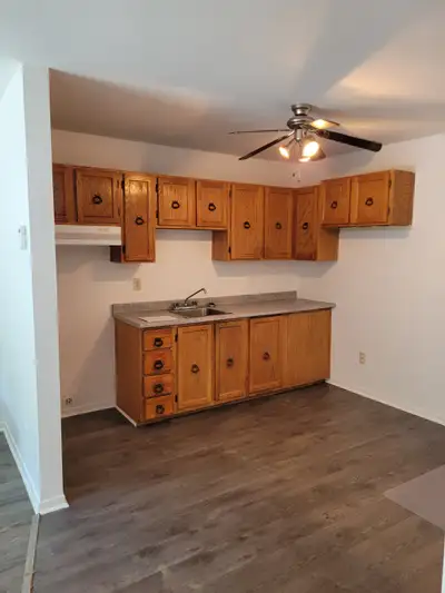 logement à louer 3 1/2 244 rue Denison O 3e étages 869$