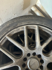 Tires rims