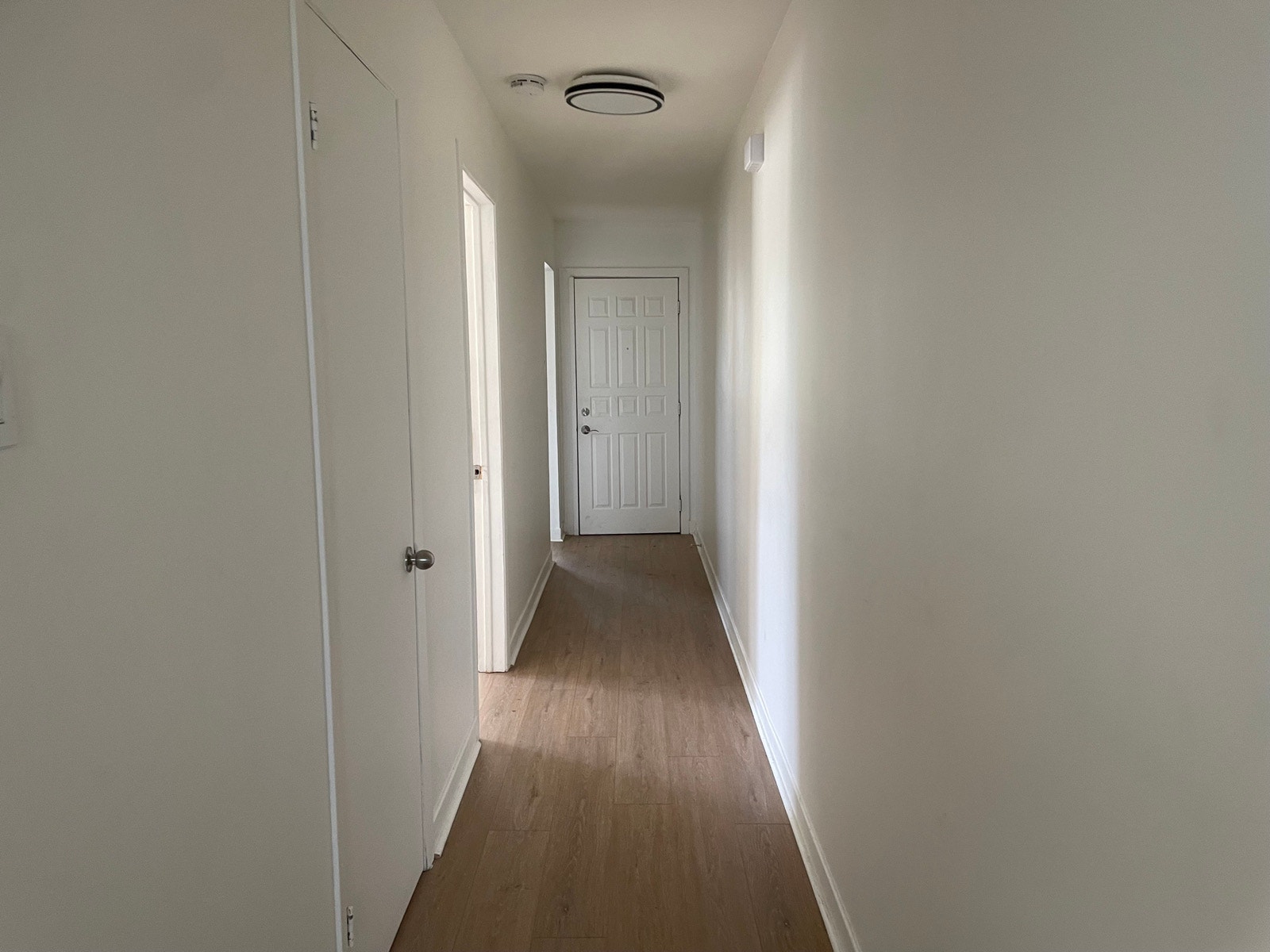 41/2 à louer — photo 3