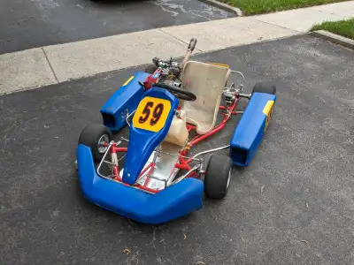 Racing go kart package includes: • Birel racing chassis • race prepared Honda GX200 engine • 2 clutc...