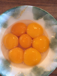 Free range duck eggs for sale!