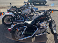 2001 Harley 883 Custom