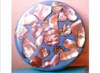Abalone Shell Cast plastic Coaster