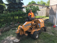 30% off stump grinding/stump removal