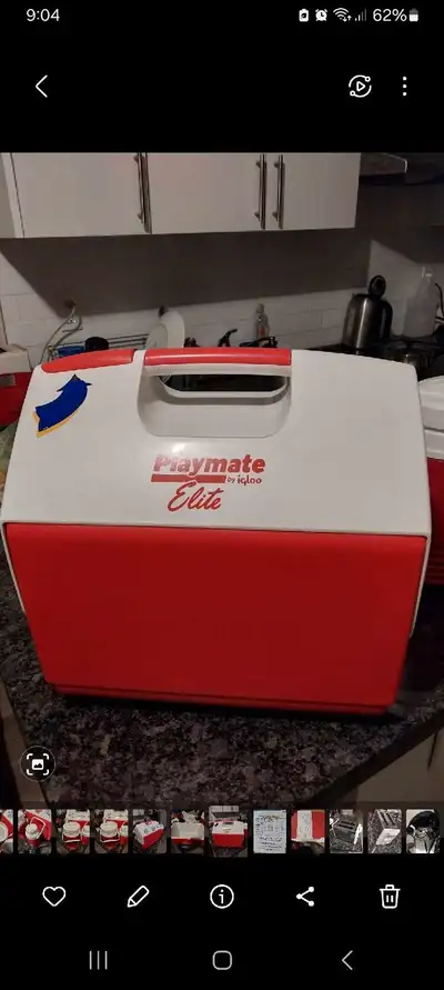 Igloo Cooler and Cooler bottles , View more