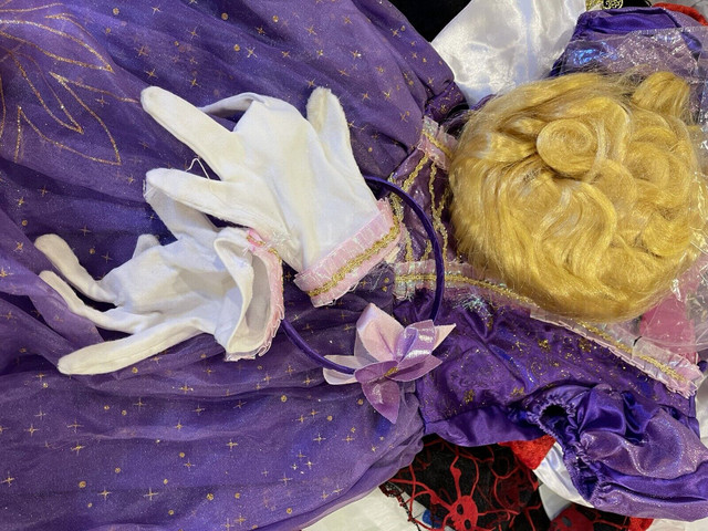 Disney Princess Costumes (sizes 7+)  in Costumes in Markham / York Region - Image 2