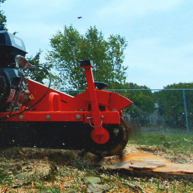 Thane Tree Care-Professional Stump grinding and tree care! in Lawn, Tree Maintenance & Eavestrough in Winnipeg - Image 2