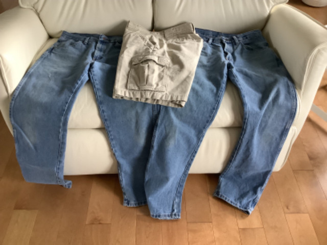 2 paires de jeans et 1 short grandeur 30 dans Hommes  à Saint-Hyacinthe
