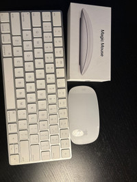 Apple Magic Mouse + keyboard white