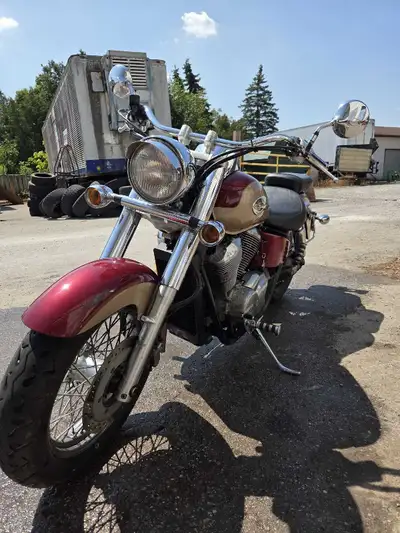 03 Shadow Ace 750 43000km Fluids changed before being put away this season New carb New signal light...