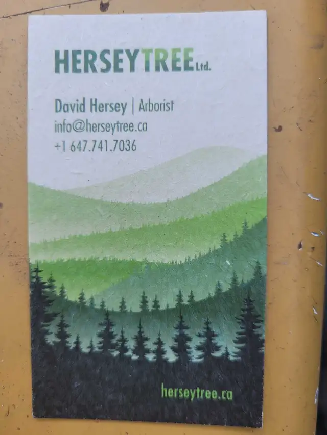 Arborist64840195522691123