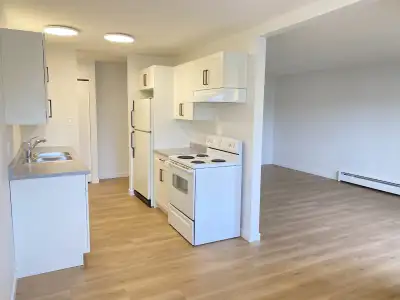 2 Bedroom + 1 Bathroom Home for Rent in Lumby This well-maintained and clean 2B1B home offers lots o...