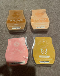 Scentsy bars (brand new)