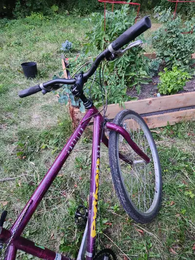 Python rattler bike, View more