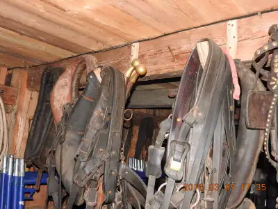 harnet de chevaux double, View more