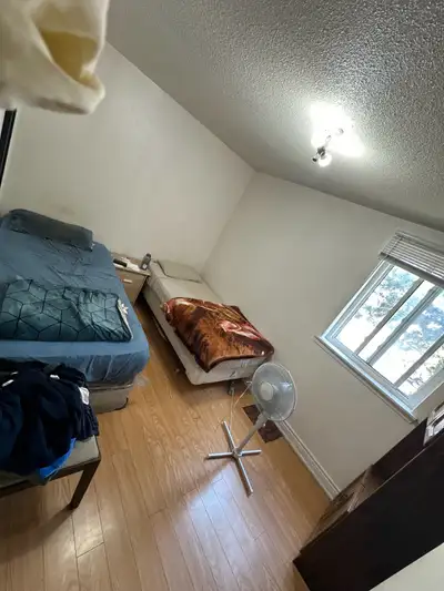 townhouse 1 room available