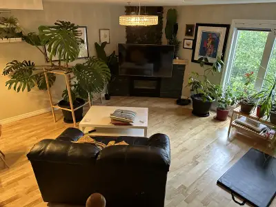 ceiling lamp / chandelier , View more