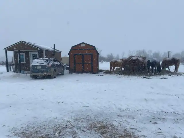 Image showcasing Bancroft on the Grid - Worcester, MA Apartments | Realtor.com®