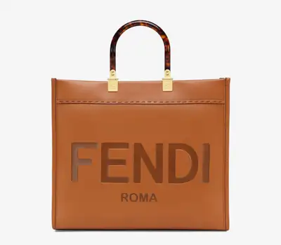 Fendi Handbag, View more