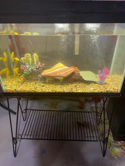Selling Fish Tank / Aquarium with Metal Stand & accessories in excellent condition. No cracks or lea...