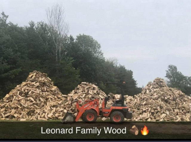  Firewood  in Other in Kingston