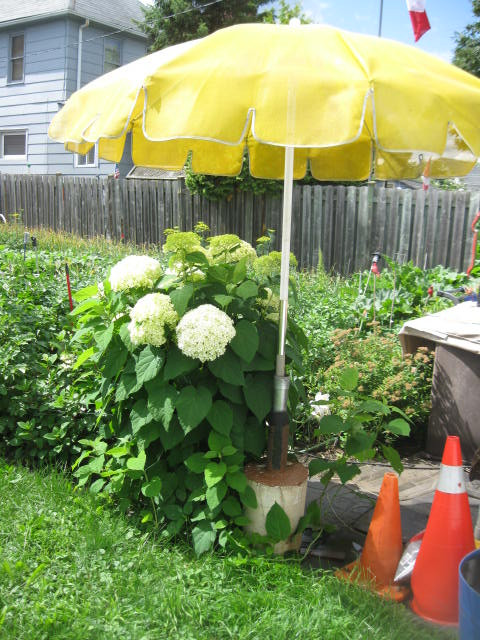 One Yellow Mesh Umbrella at $30 in Patio & Garden Furniture in Thunder Bay