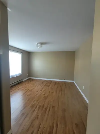 Located on the west side Corner Brook. 1 Bedroom Apt for rent $950.00 per month plus utilities. No p...