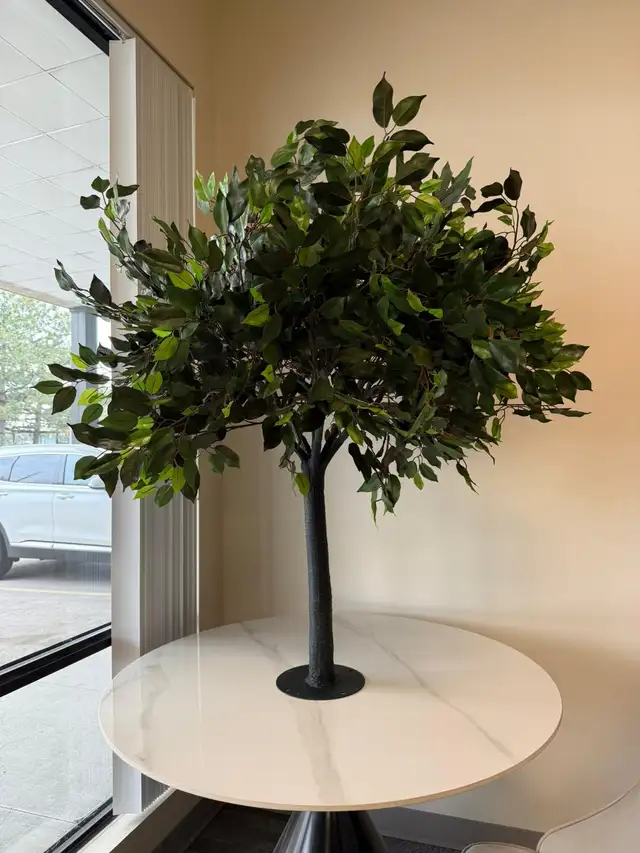 4ft Decorative Trees | Rental Collection in Home Décor & Accents in Mississauga / Peel Region - Image 4