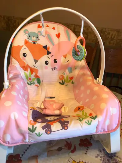 article pour bébé naissant(bassinette,siege d’auto graco,, View more