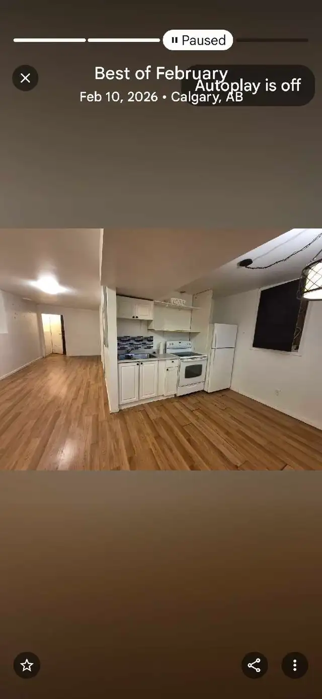 pet friendly basement for rent