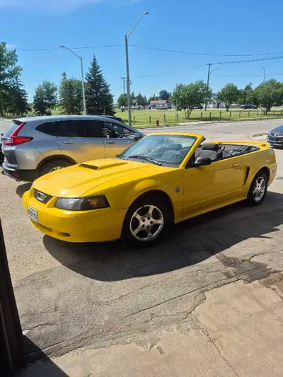 2004 Mustang Convertible 40th Anniversary New Safety At, Fully loaded V6 105,000 original ks Purchas...