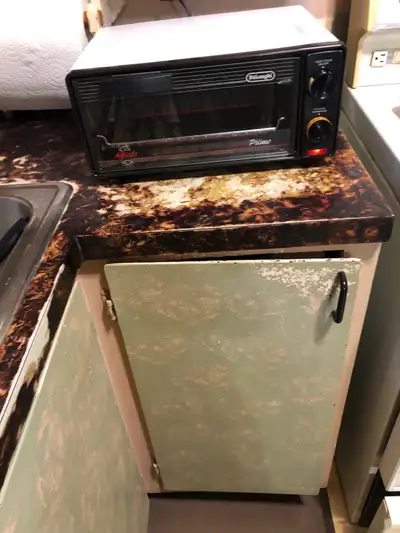 four grille pain de marque Delonghi , View more
