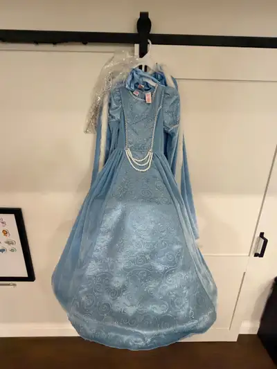 Childrens Blue Princess Costume Set Size 7/8, View more