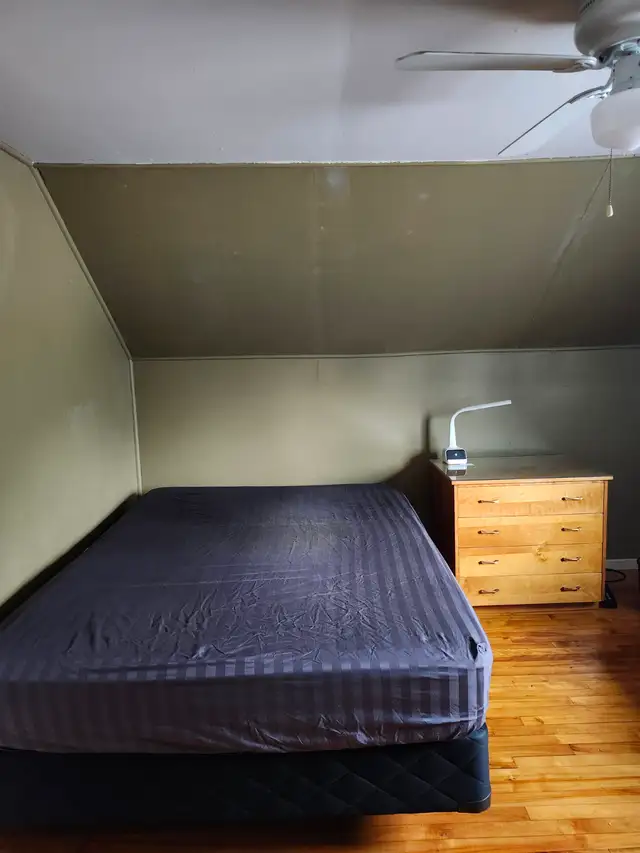 Comfortable large room for rent to single person  Nov 1st in Room Rentals & Roommates in Kingston - Image 5