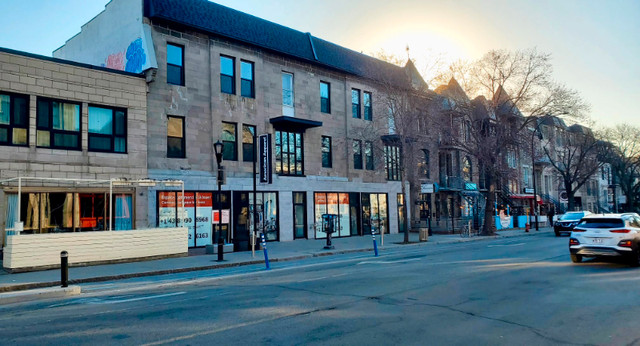 Saint Denis Retail: Prime Spaces on Plateau Mont-Royal dans Espaces commerciaux et bureaux à louer  à Ville de Montréal