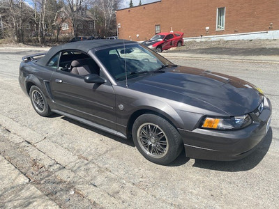 2004 Mustang convertible for sale