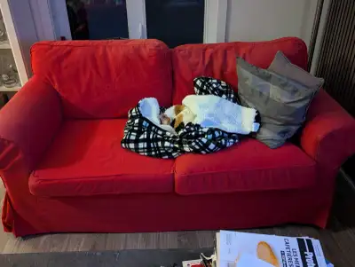 à donner - urgent, View more