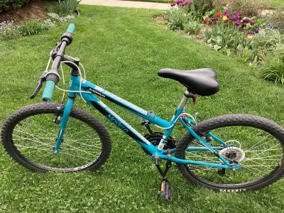 This special trail bike has Innova trail rims on a heavy duty 20” frame & has been all gone over. Re...