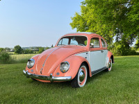 1963 Volkswagen Beetle